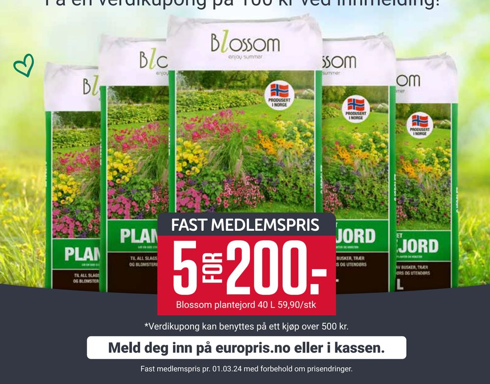 Tilbud på Blossom plantejord 40 L fra Europris til 200 kr