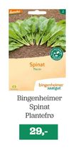 Bingenheimer Spinat Plantefrø