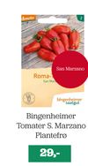 Bingenheimer Tomater S. Marzano Plantefrø