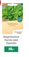 Bingenheimer Rucola salat Plantefrø