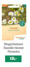 Bingenheimer Kamille blomst Plantefrø