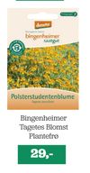 Bingenheimer Tagetes Blomst Plantefrø