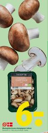 Økologiske brune champignon i skiver
