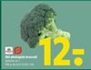 365 økologisk broccoli