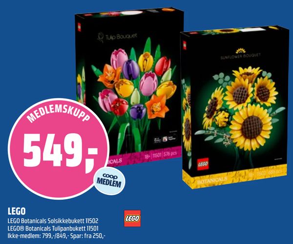 LEGO LEGO Botanicals Solsikkebukett 11502
LEGO® Botanicals Tulipanbukett 11501
Ikke-medlem: 799,-/849,- Spar: fra 250,-