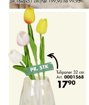 Tulipaner 32 cm