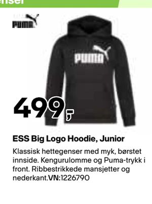 ESS Big Logo Hoodie, Junior