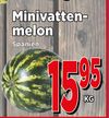 Minivattenmelon