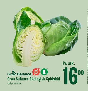 Grøn Balance Økologisk Spidskål