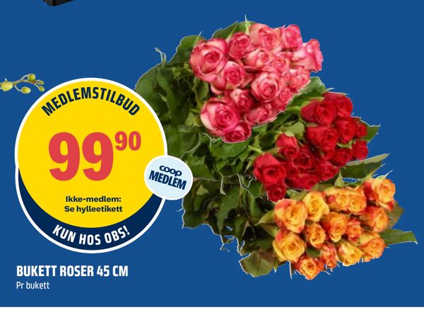 BUKETT ROSER 45 CM Pr bukett
Ikke-medlem: Se hylleetikett
KUN HOS OBS!