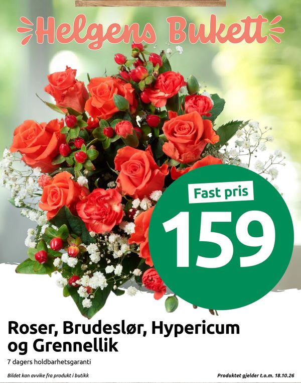 Roser, Brudeslør, Hypericum og Grennelli Helgens Bukett
Fast pris
7 dagers holdbarhetsgaranti
Bildet kan avvike fra produkt i butikk