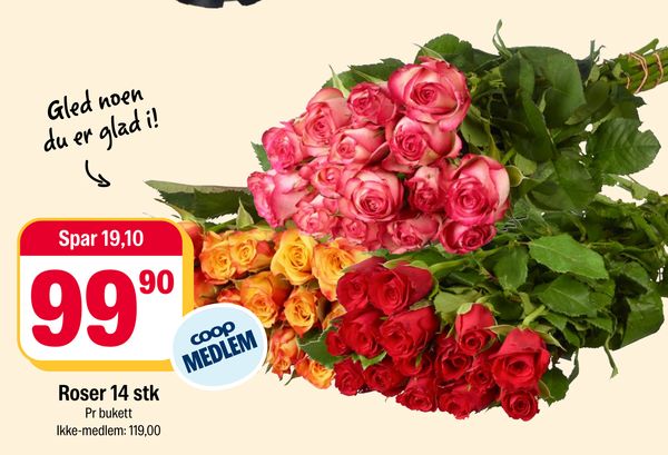 Roser 14 stk Gled noen du er glad i!
Spar 19,10
Pr bukett
Ikke-medlem: 119,00