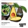 Hass avocado fra Peru