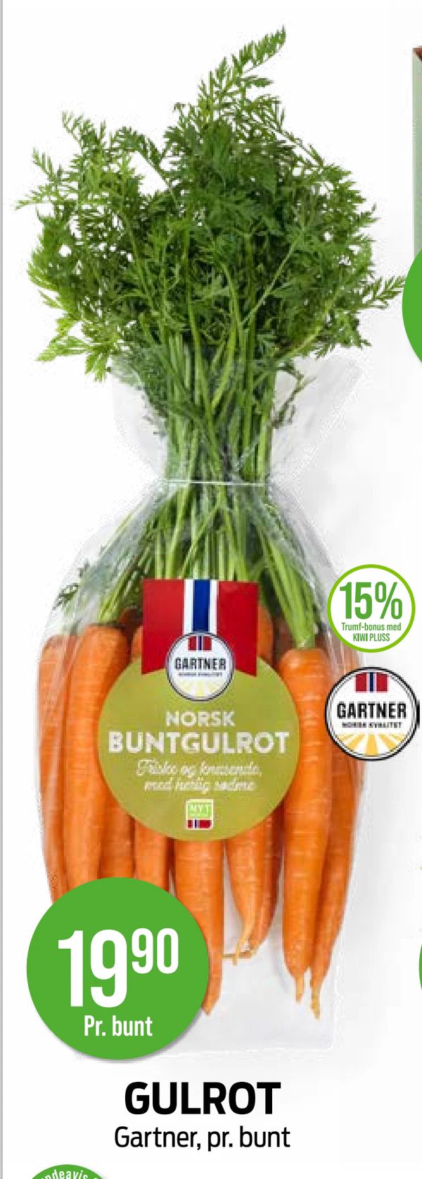 GULROT Gartner, pr. bunt