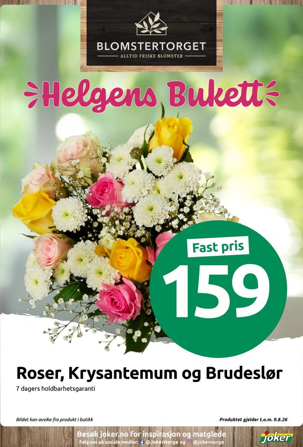 Roser, Krysantemum og Brudeslør Helgens Bukett
Fast pris
7 dagers holdbarhetsgaranti