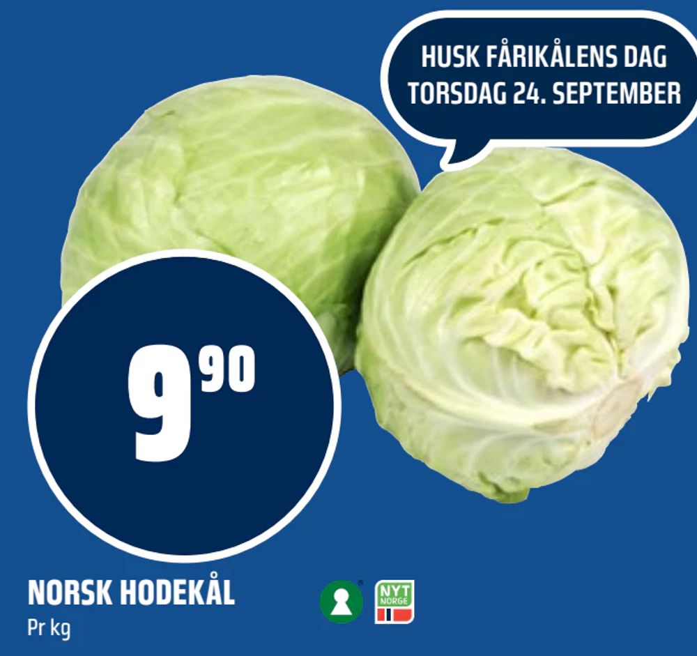 Norsk Hodekål
