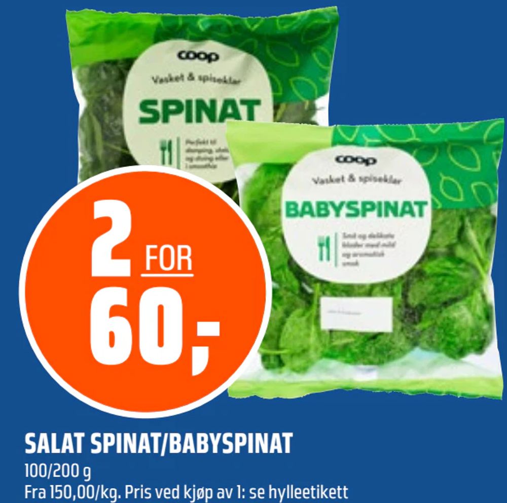 Salat Spinat/Babyspinat
