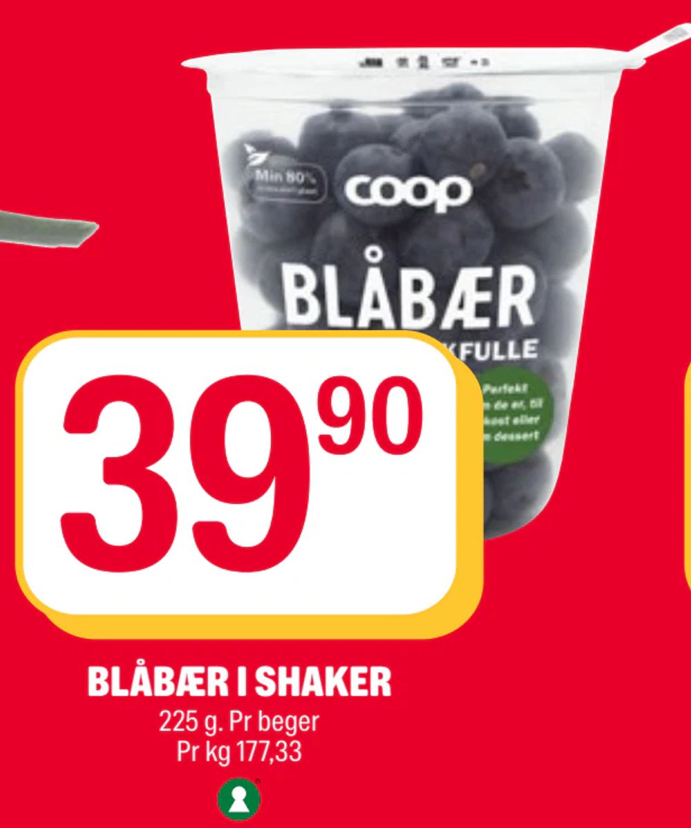 Blåbær i Shaker