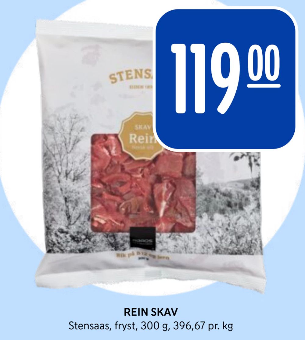 Rein Skav
