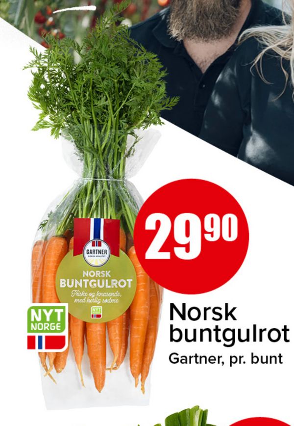 Norsk buntgulrot Gartner, pr. bunt NYT NORGE GARTNER Friske og knasende, med herlig sødme