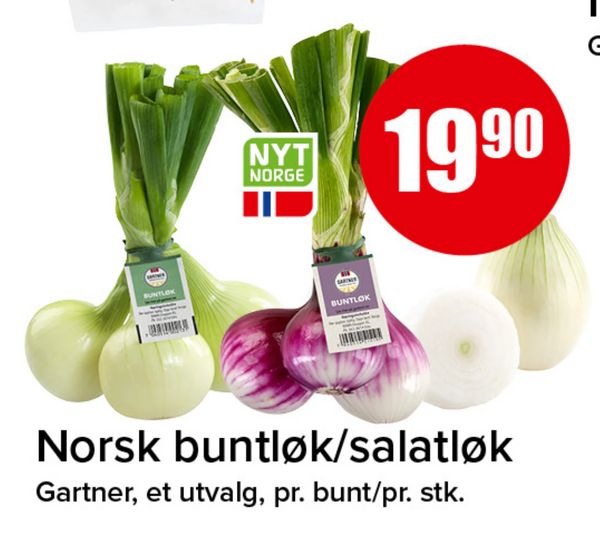 Norsk buntløk/salatløk Gartner, et utvalg, pr. bunt/pr. stk. NYT NORGE GARTNER BUNTLØK