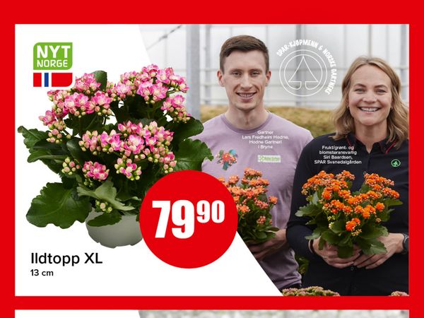 Ildtopp XL 13 cm