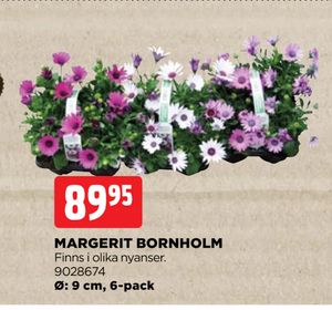 MARGERIT BORNHOLM
