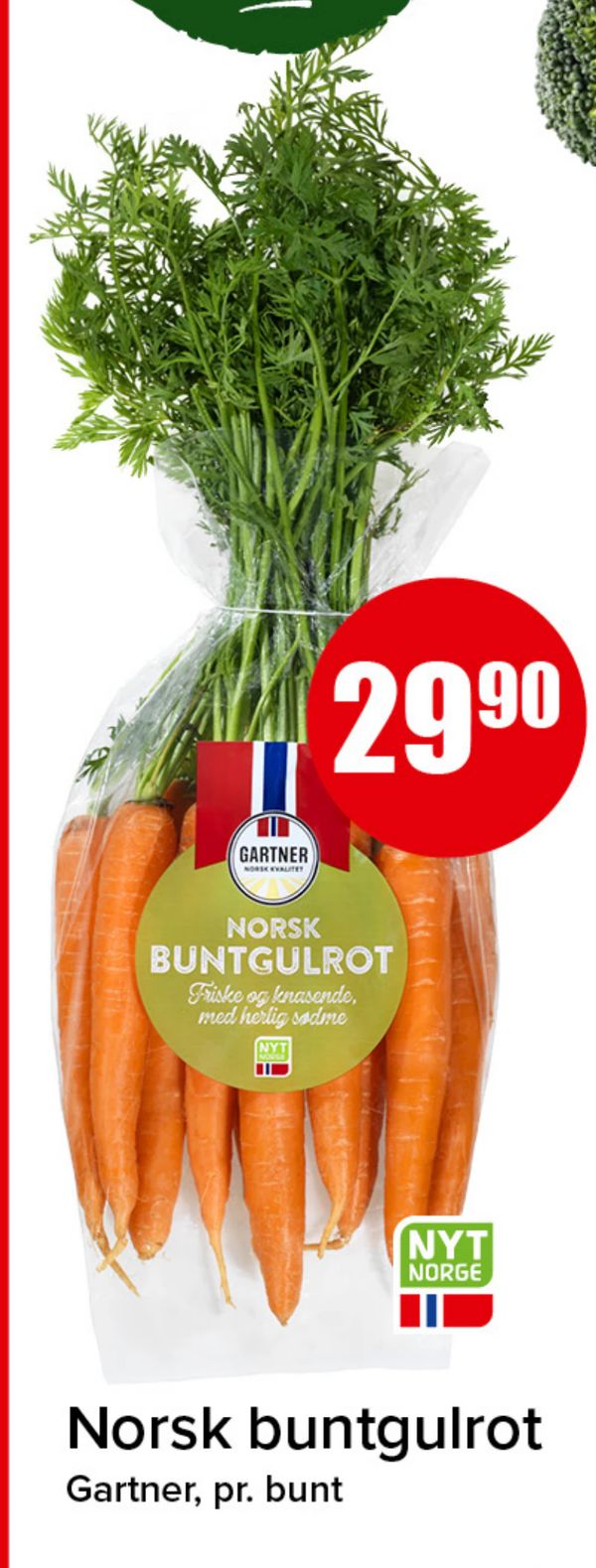 Norsk buntgulrot Gartner, pr. bunt