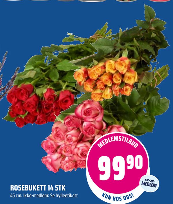 ROSEBUKETT 14 STK 45 cm. Ikke-medlem: Se hylleetikett
MEDLEMSTILBUD
KUN HOS OBS!