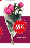 PION 3-PACK