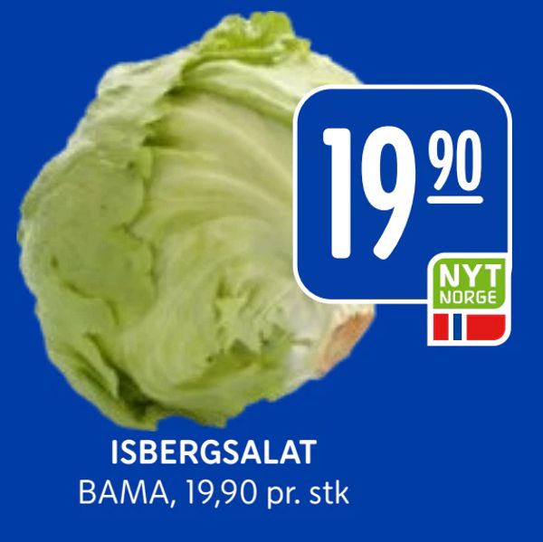 ISBERGSALAT BAMA, 19,90 pr. stk