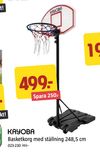 Basketkorg med ställning 248,5 cm
