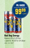 Bad Dog Energy