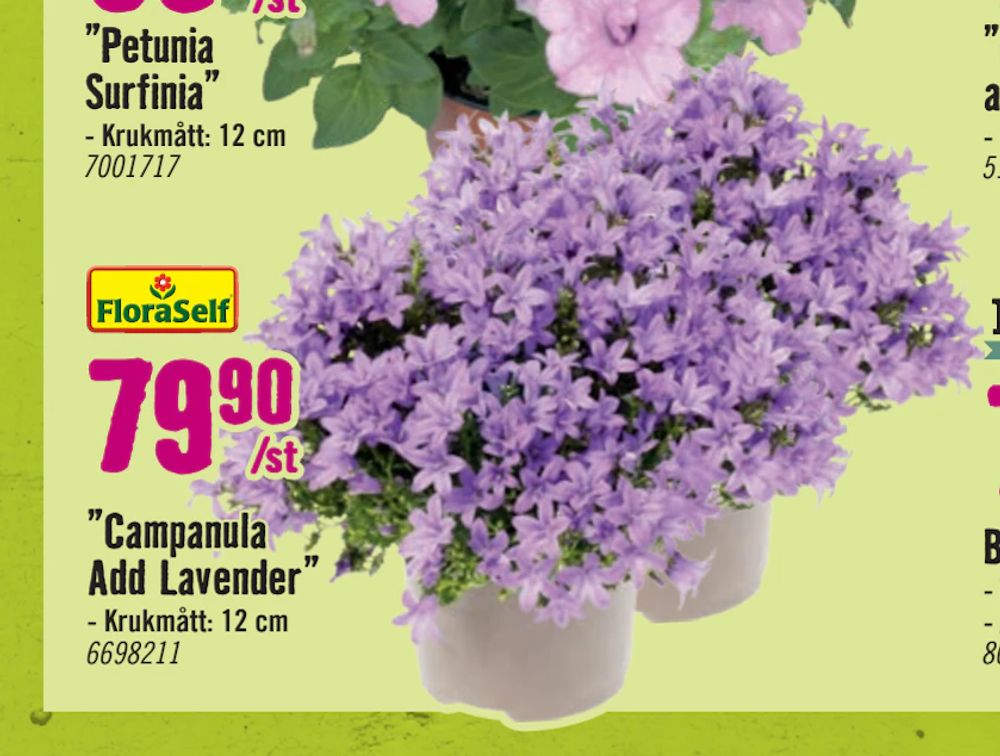 Erbjudanden på ”Campanula Add Lavender” från Hornbach för 79,90 kr