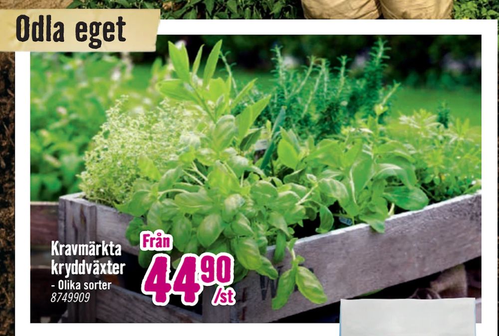 Erbjudanden på Kravmärkta kryddväxter från Hornbach för 44,90 kr