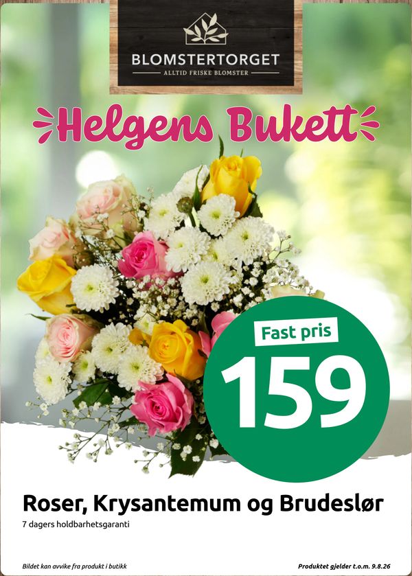 Roser, Krysantemum og Brudeslør Helgens Bukett Fast pris 159 7 dagers holdbarhetsgaranti Bildet kan avvike fra produkt i butikk Produktet gjelder t.o.m. 9.8.26