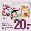 Cheasy skyr Skovbær, vanilje eller mango/lime 1000 g