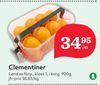 Clementiner
