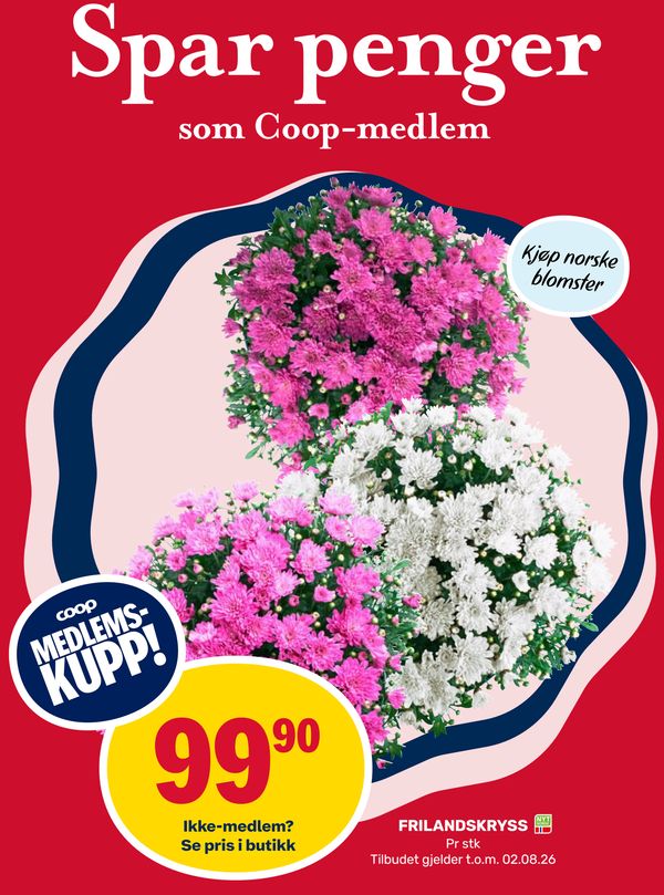 FRILANDSKRYSS MEDLEMS-KUPP!
Ikke-medlem? Se pris i butikk
Pr stk Tilbudet gjelder t.o.m. 02.08.26