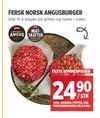FERSK NORSK ANGUSBURGER
