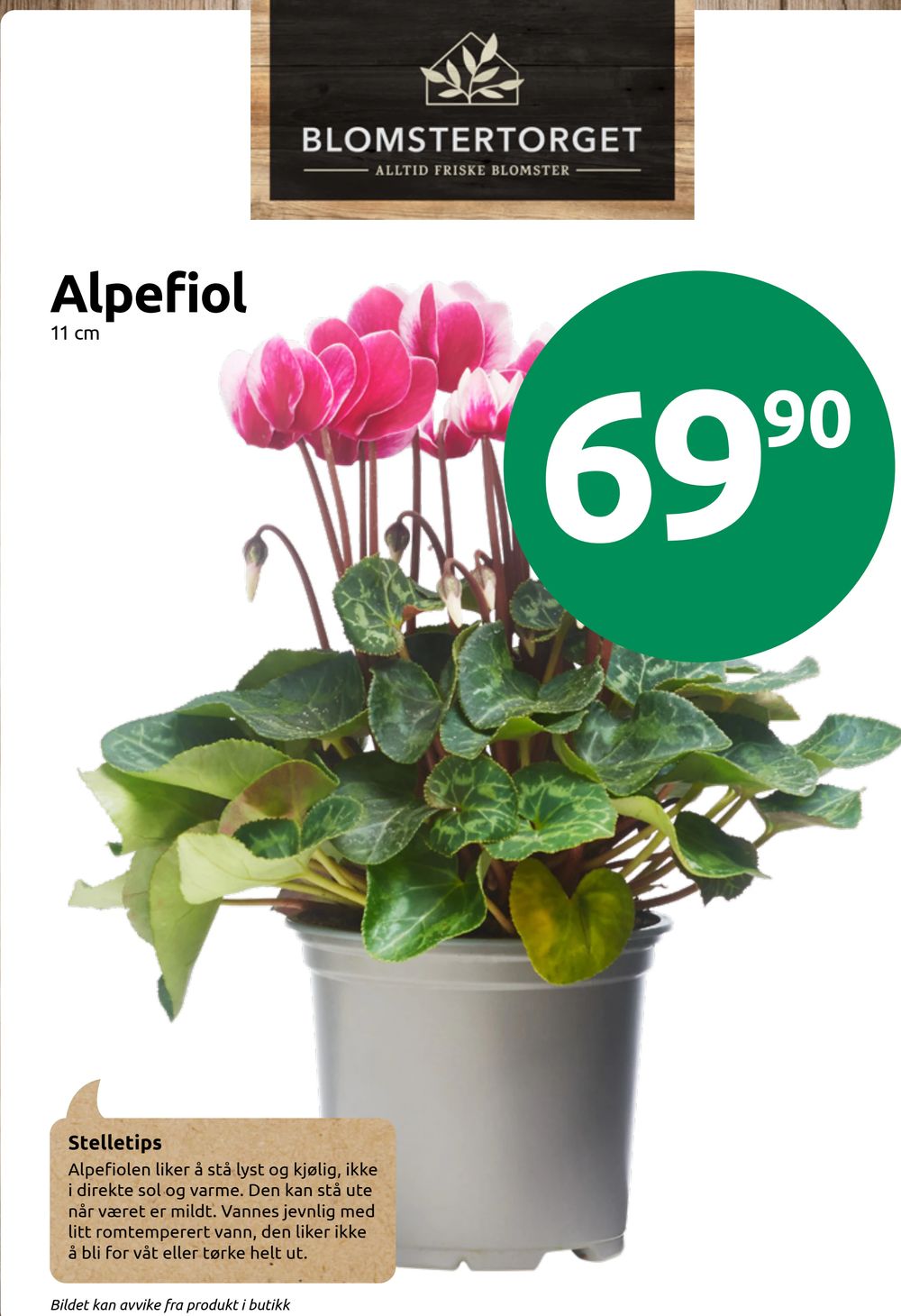 Alpefiol