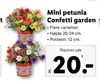 Mini petunia Confetti garden