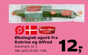 Økologisk agurk fra Katrine og Alfred
