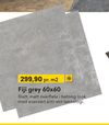 Fiji grey 60x60
