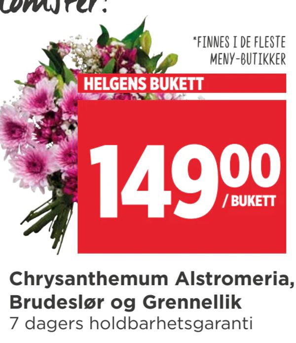 Chrysanthemum Alstromeria, Brudeslør og Grennellik HELGENS BUKETT
7 dagers holdbarhetsgaranti
*Finnes i de fleste MENY-butikker