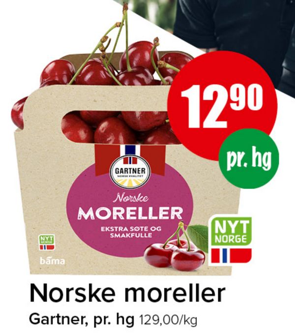 Norske moreller Gartner, pr. hg 129,00/kg