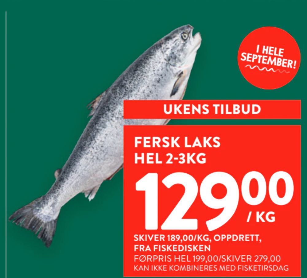 Fersk Laks Hel 2-3Kg
