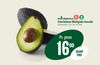 Grøn Balance Økologiske Avocado