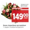 Roser, Hyperikum og Lepidium