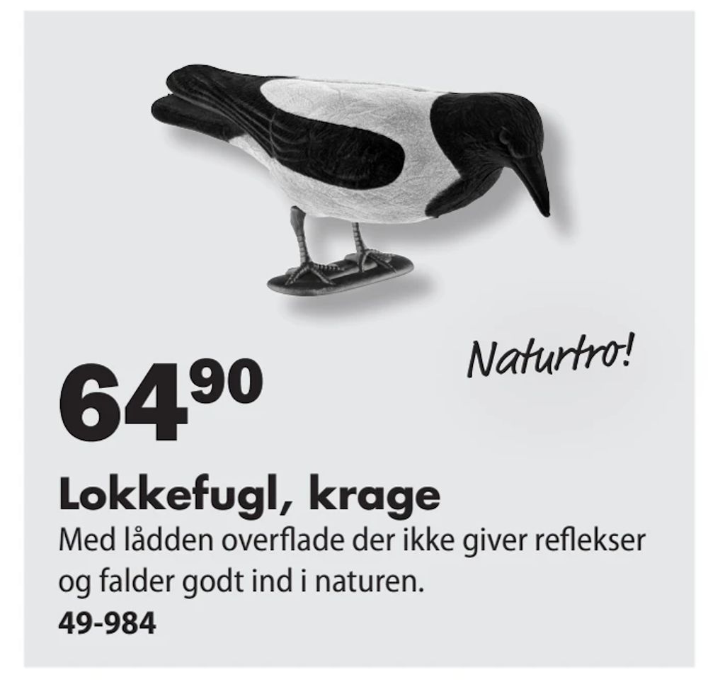 Tilbud på Lokkefugl, krage fra Biltema til 64,90 kr.